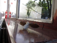 59_img0379.jpg